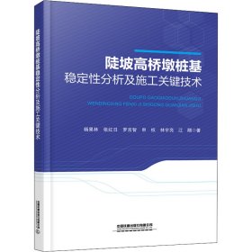 陡坡高桥墩桩基稳定性分析及施工关键技术