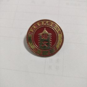 北大培文陕西大柳塔二中金属校徽