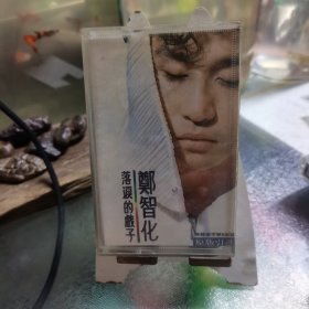 郑智化落泪的戏子。