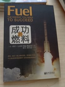 成功的燃料