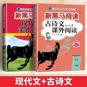 2024新版黑马阅读六年级现代文课外阅读+古诗文课外阅读6年级语文古诗文阅读理解专项训练人教版（套装2册）