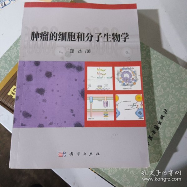 肿瘤的细胞和分子生物学