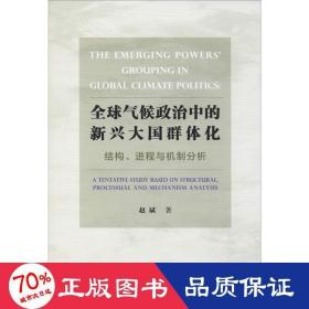 全球气候政治中的新兴大国群体化——结构、进程与机制分析