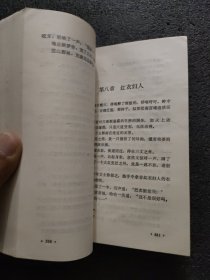 剑湖风流<上下册>老版武侠小说