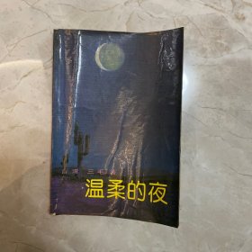 温柔的夜