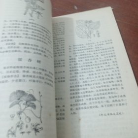 赤脚医生杂志 1977 10