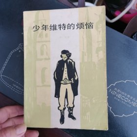 少年维特的烦恼 上海译文