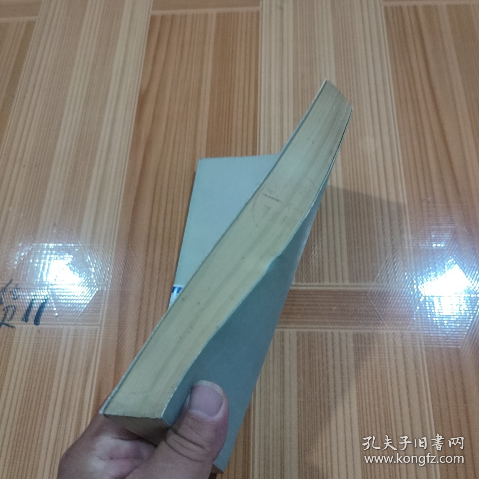 张国熬和《我的回忆》