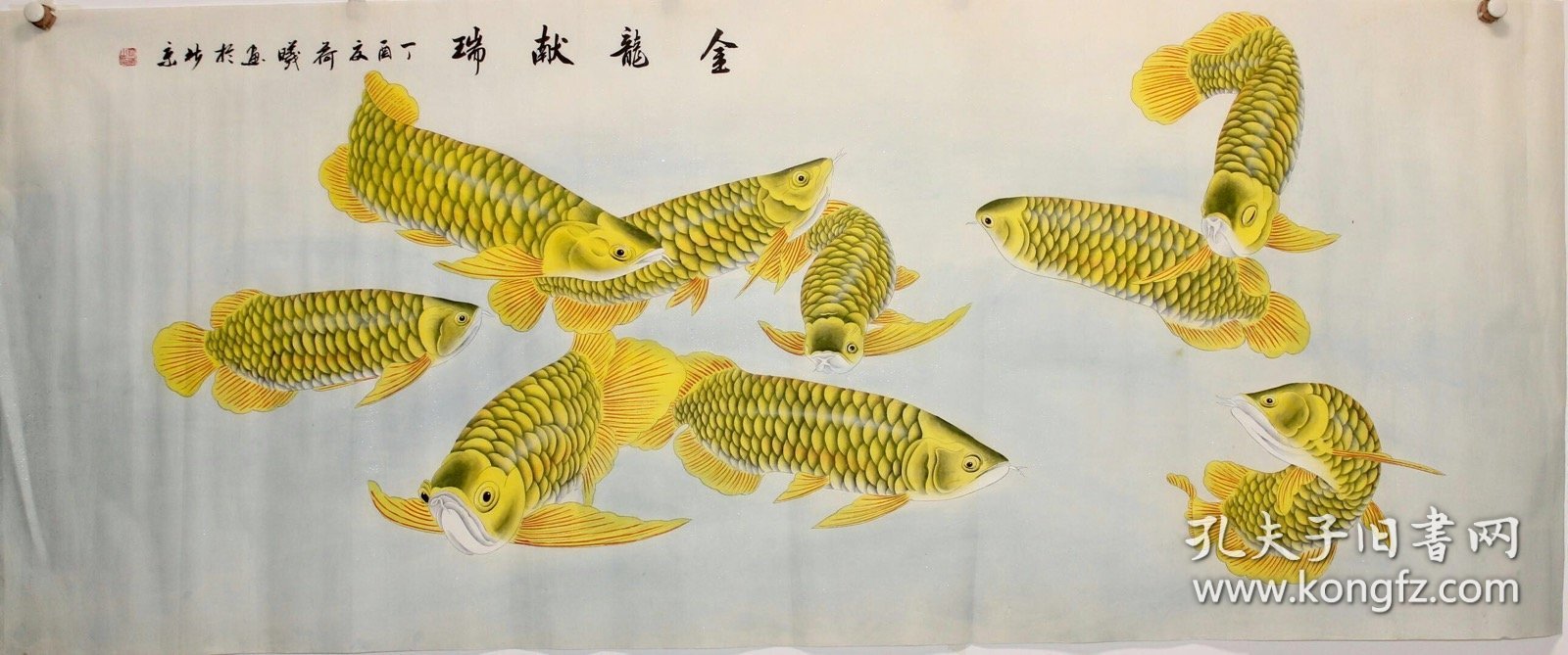 【金龙献瑞】 王老师小六尺精品工笔金龙鱼