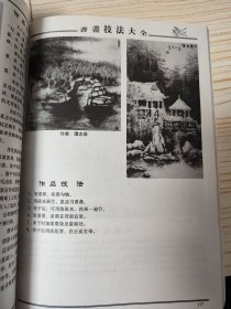 中国书画技法大全
