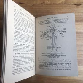 The Art of Motor-Cycling：A Practical Guide for Novices and Experts，Covering Motor-Cycles，Auto-Cycles，and Motor-Assisted Bicycles（《摩托车》）