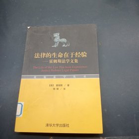 法律的生命在于经验：霍姆斯法学文集