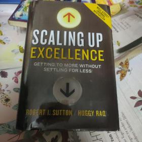 Scaling Up Excellence：Getting to More Without Settling for Less