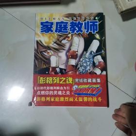 家庭教师 彭格列之魂 完结收藏画集 见图