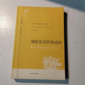 钢铁是怎样炼成的（译文名著文库037）