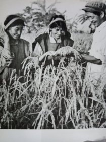 A PHOTOGRAPHIC RECORD...喜玛拉雅山科学考察