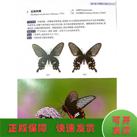 浙江烏巖嶺國家級自然保護區(qū)蝴蝶圖鑒