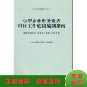 小型企业财务报表审计工作底稿编制指南