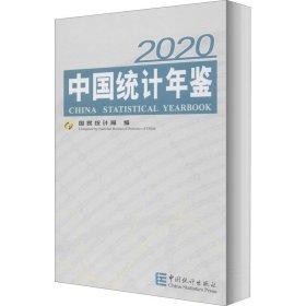 中国统计年鉴 2020