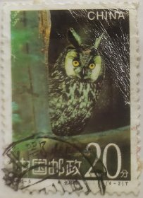 的《鸮》特种邮票之“长耳鸮”与“雪鸮”