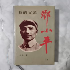 我的父亲邓小平 上卷 精装