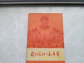 我们见到了毛主席