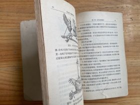 中国民间畜禽阉割术