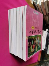 中篇小说选刊（双月刊·2018年2.5期、2019年2.3.4.5期、2020年3.4.5.6期、2021年1.2期）共12本