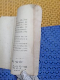 菊花写生资料