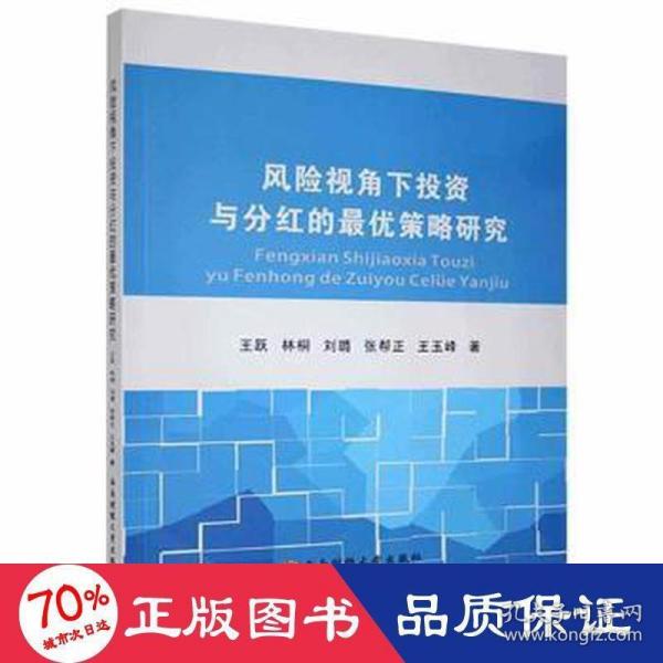 风险视角下投资与分红的最优策略研究