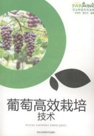 葡萄高效栽培技术
