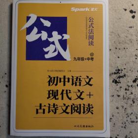 2023新版星火spark巅峰训练 九年级+中考现代文+古诗文阅读初中语文阅读训练古诗词练习全一册