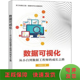 数据可视化 从小白到数据工程师的成长之路