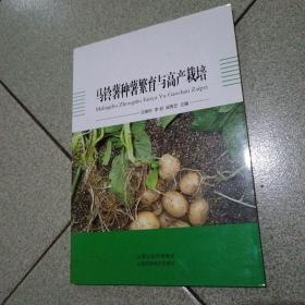 马铃薯种薯繁育与高产栽培（书柜存）16开