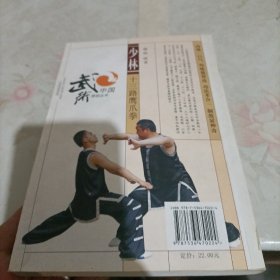 少林十三路鹰爪拳