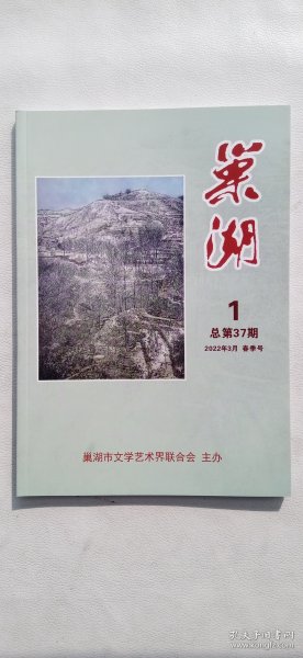 巢湖（期刊）