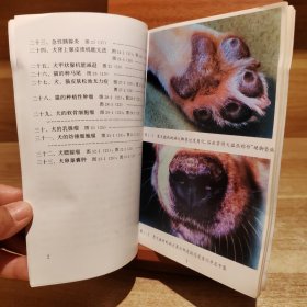 犬猫病诊断图册