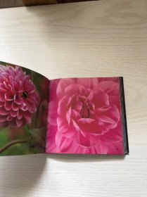 Flowers 花卉图片集（外文书 详情看图 附光盘）