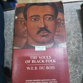 SOULS OF BLACK FOLK 黑人民歌之灵魂