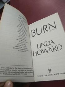 Burn: A Novel