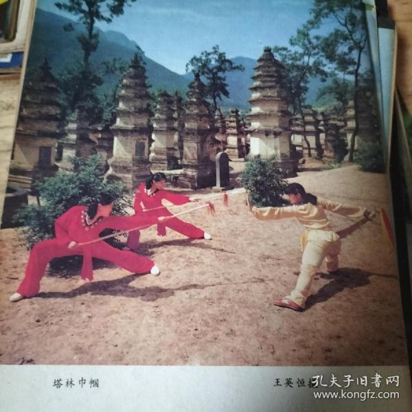 武魂，意拳，内功秘拳，峨眉派五龙拳，拳法精要，阴阳八卦五行功法，三上五台山，戳脚翻子，大侠甘凤池，花鞭吴斌楼，七十二神拿，武术的内家与外家，孙氏太极拳，孙禄堂，王芗斋，大成拳，五猴通背拳，宋氏形意拳，太极球，太极五 星捶，岳家拳，松溪派内家拳，阴阳八盘掌，武术事业，张文广，杨露禅，北京武术，螳螂拳