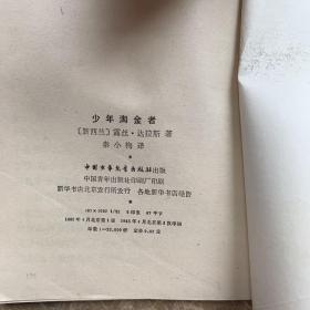 少年淘金者