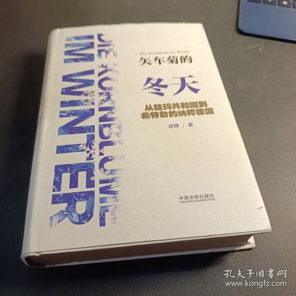 矢车菊的冬天：从魏玛共和国到希特勒的纳粹德国