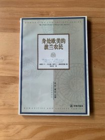 身处欧美的波兰农民：一部移民史经典