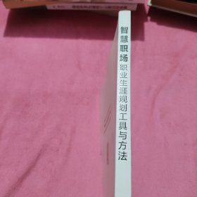 智慧职场：职业生涯规划工具与方法