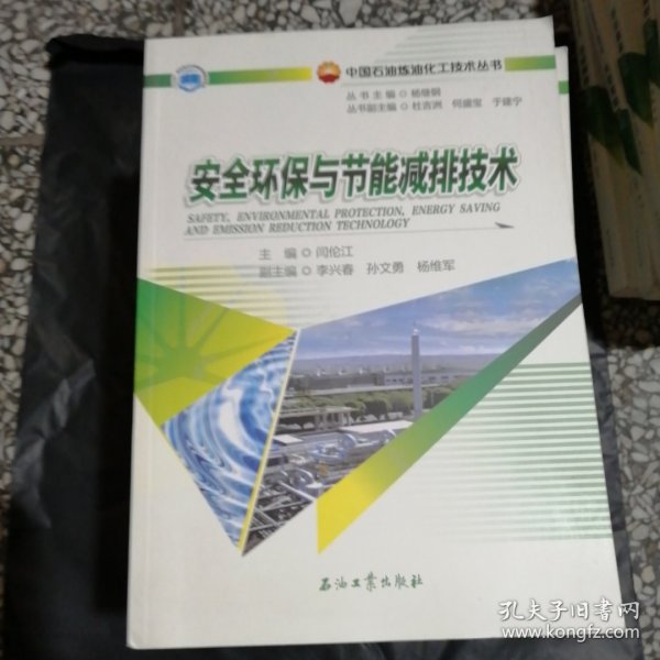 大型乙烯成套技术/中国石油炼油化工技术丛书