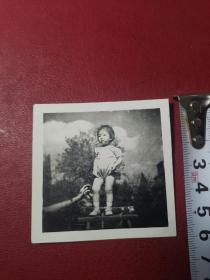 约七十年代（放手）独立儿童照片一张，Z206