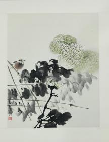 【杜振华】陕西著名实力派画家，康师尧入室弟子，西安中国画院画家、西安美协理事、陕西花鸟画理事，西安电子科技大学研究生院导师，作品曾入展第九届全国美展（优秀奖）、中国国家画院第一届作品展、全国第一届工笔画大展