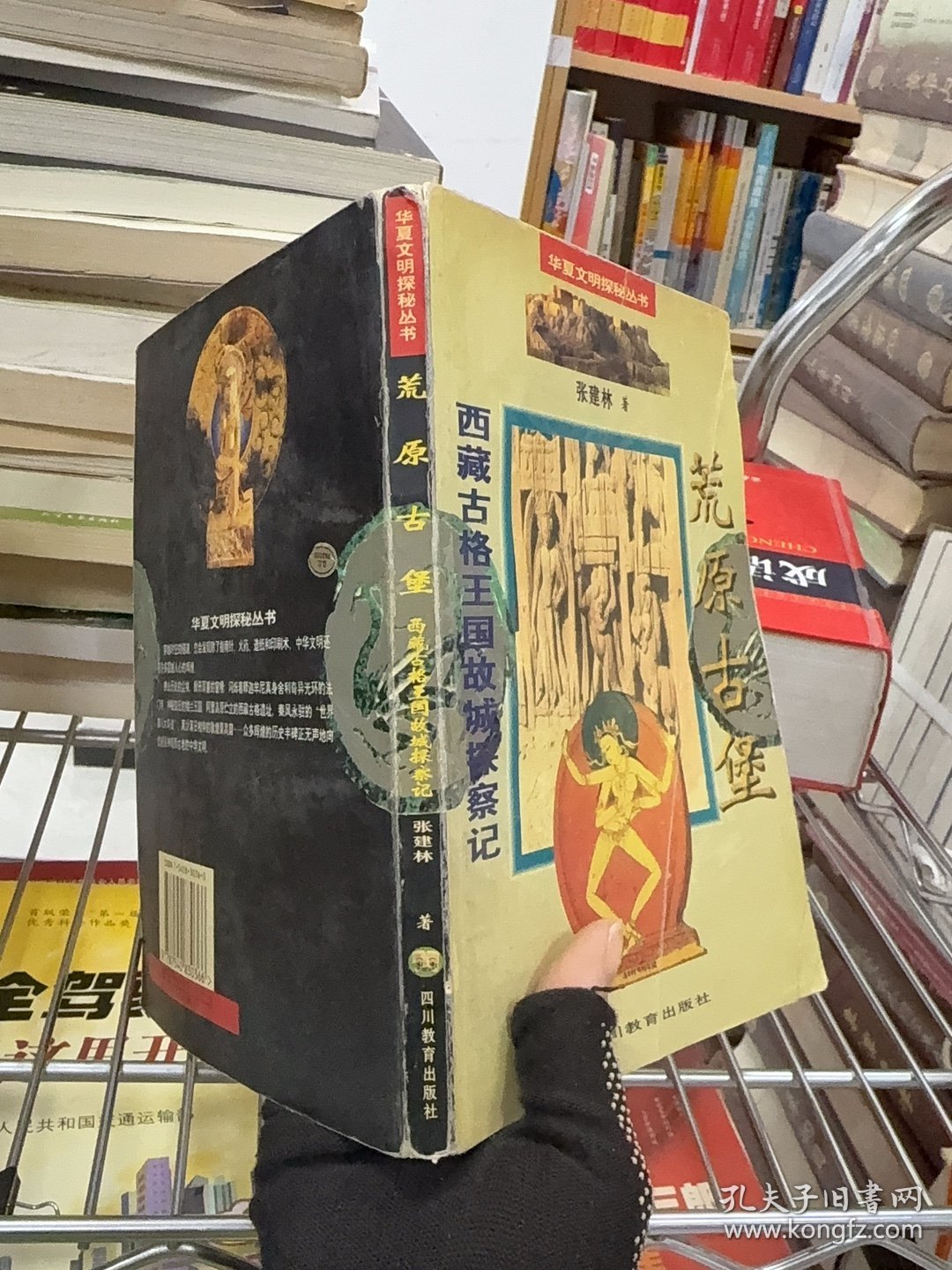 荒原古堡・ 西藏古格王国故城探察记