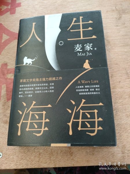 麦家：人生海海（茅盾文学奖得主麦家2019年强力之作）